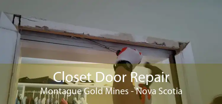 Closet Door Repair Montague Gold Mines - Nova Scotia