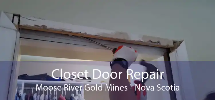 Closet Door Repair Moose River Gold Mines - Nova Scotia