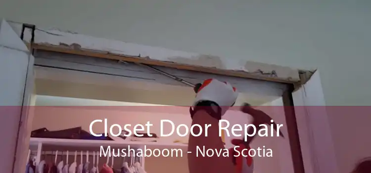 Closet Door Repair Mushaboom - Nova Scotia