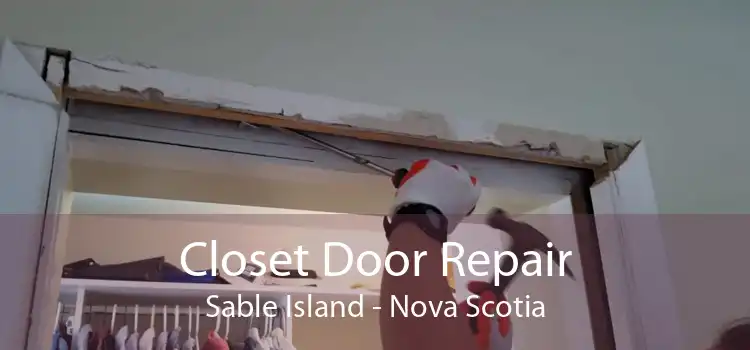 Closet Door Repair Sable Island - Nova Scotia