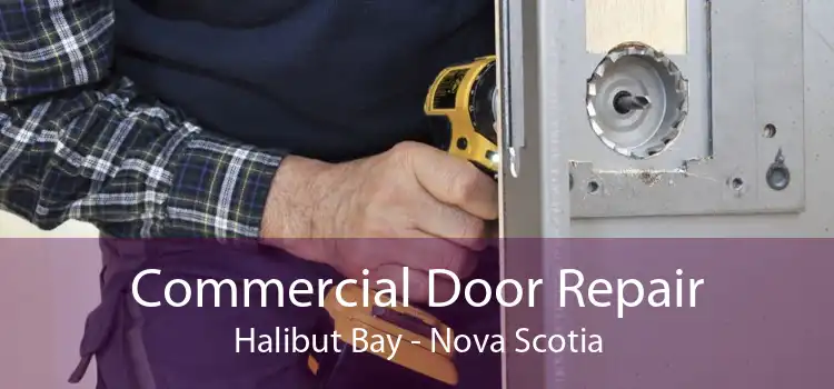 Commercial Door Repair Halibut Bay - Nova Scotia
