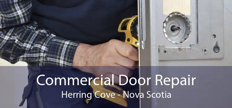 Commercial Door Repair Herring Cove - Nova Scotia