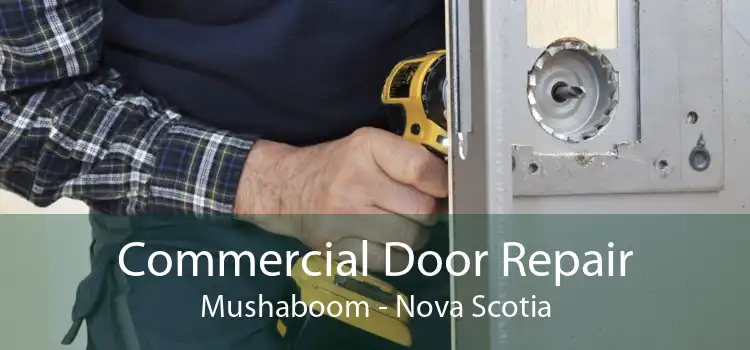 Commercial Door Repair Mushaboom - Nova Scotia