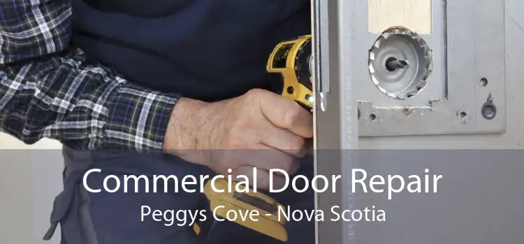 Commercial Door Repair Peggys Cove - Nova Scotia