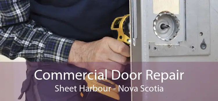 Commercial Door Repair Sheet Harbour - Nova Scotia