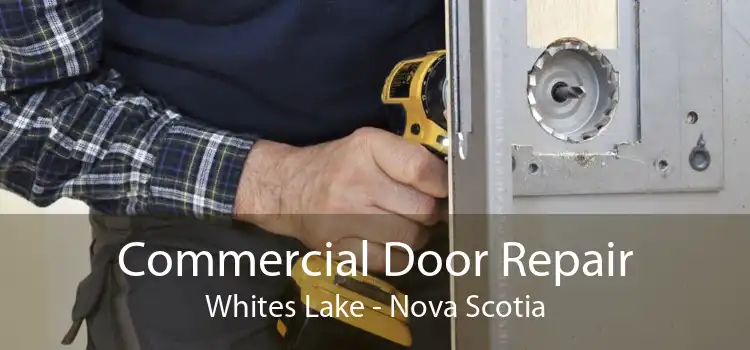 Commercial Door Repair Whites Lake - Nova Scotia
