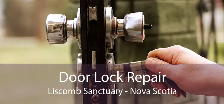 Door Lock Repair Liscomb Sanctuary - Nova Scotia