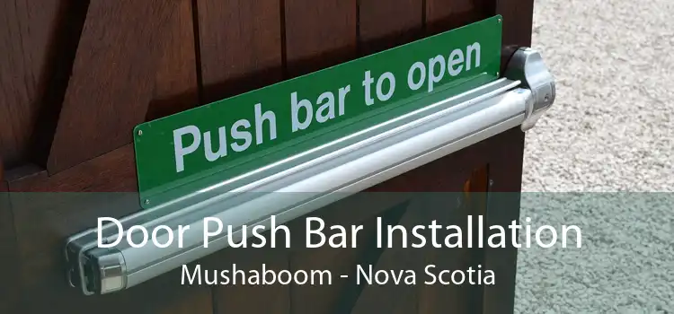 Door Push Bar Installation Mushaboom - Nova Scotia