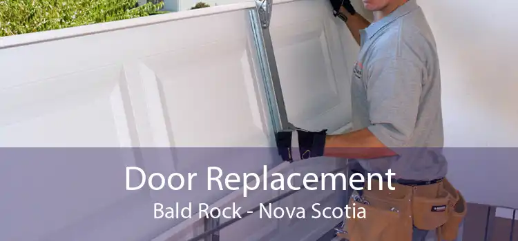 Door Replacement Bald Rock - Nova Scotia