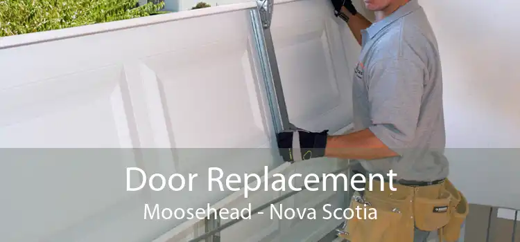 Door Replacement Moosehead - Nova Scotia