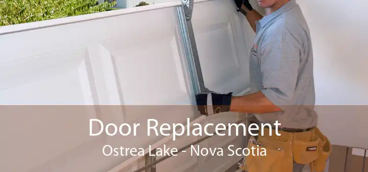 Door Replacement Ostrea Lake - Nova Scotia