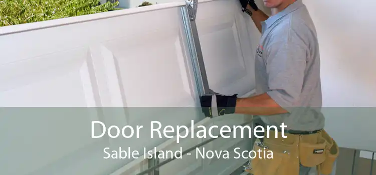 Door Replacement Sable Island - Nova Scotia