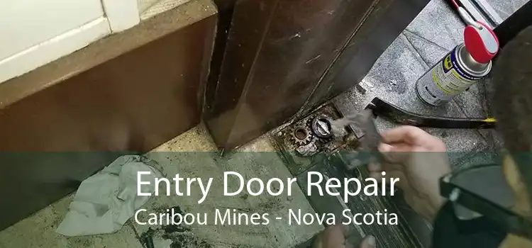 Entry Door Repair Caribou Mines - Nova Scotia