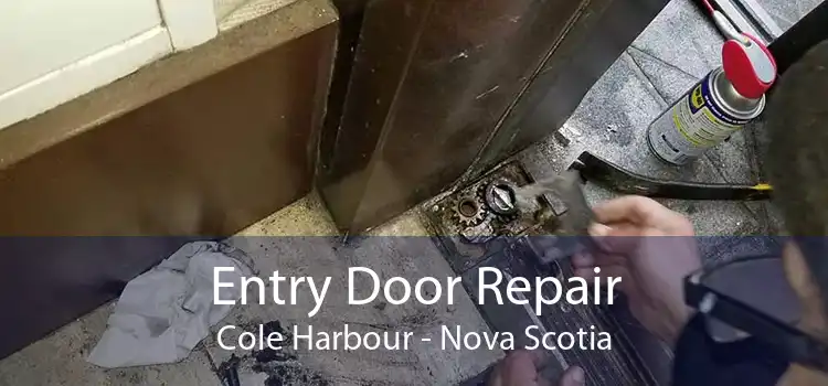 Entry Door Repair Cole Harbour - Nova Scotia