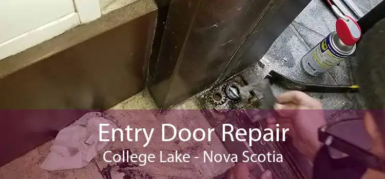 Entry Door Repair College Lake - Nova Scotia
