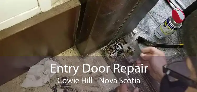 Entry Door Repair Cowie Hill - Nova Scotia