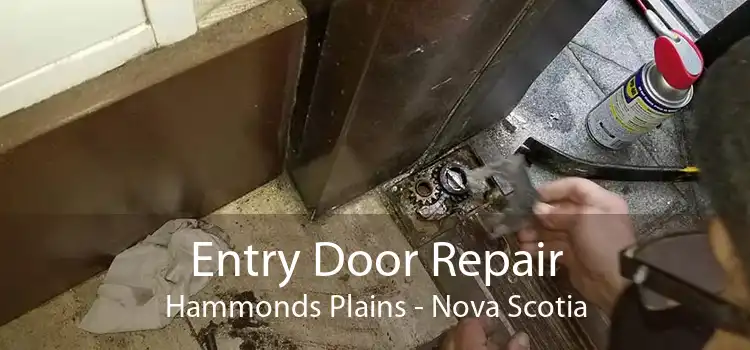 Entry Door Repair Hammonds Plains - Nova Scotia