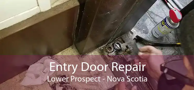 Entry Door Repair Lower Prospect - Nova Scotia