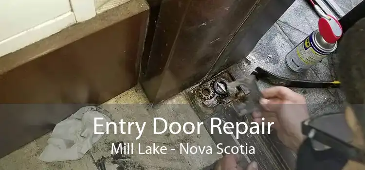 Entry Door Repair Mill Lake - Nova Scotia