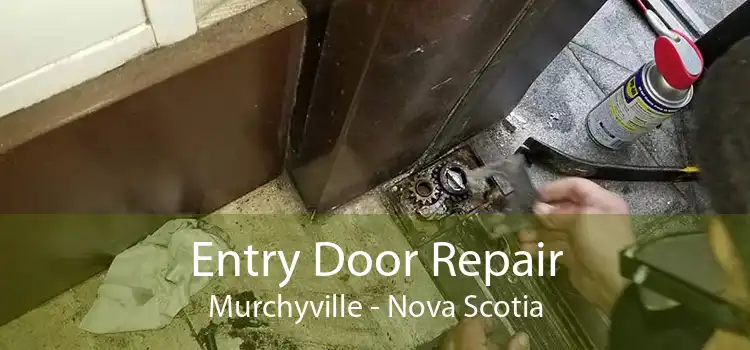 Entry Door Repair Murchyville - Nova Scotia
