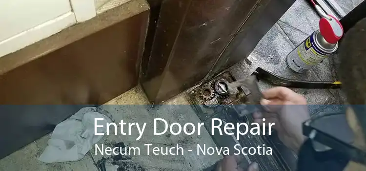 Entry Door Repair Necum Teuch - Nova Scotia