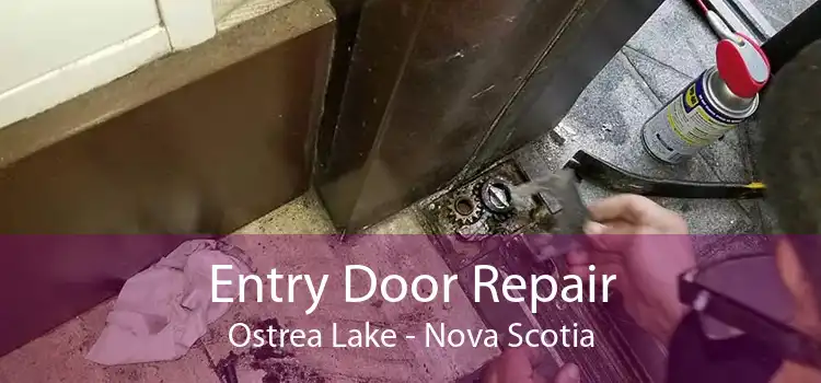 Entry Door Repair Ostrea Lake - Nova Scotia