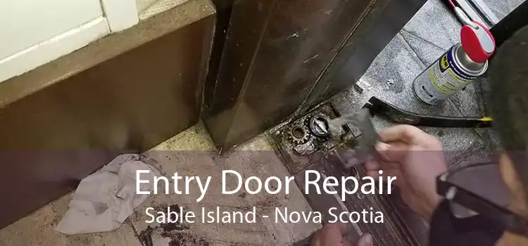Entry Door Repair Sable Island - Nova Scotia