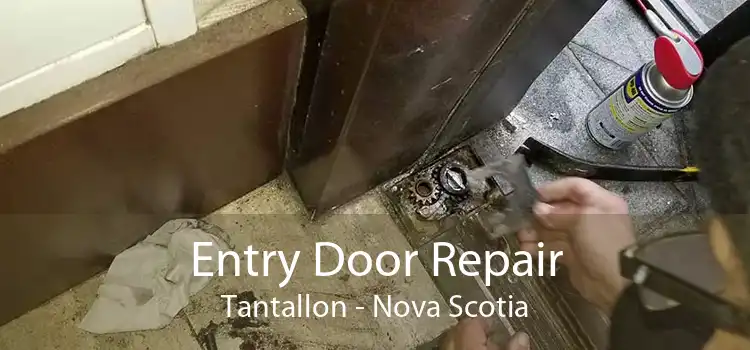 Entry Door Repair Tantallon - Nova Scotia