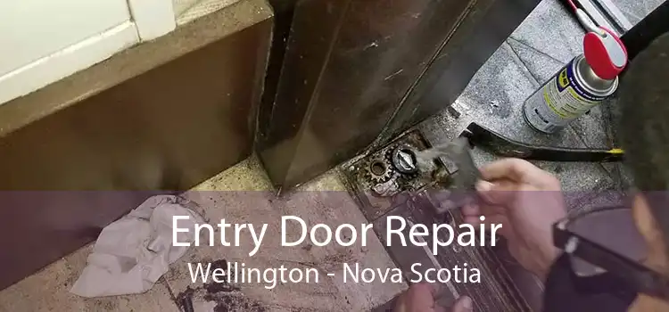 Entry Door Repair Wellington - Nova Scotia
