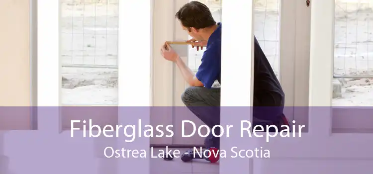 Fiberglass Door Repair Ostrea Lake - Nova Scotia
