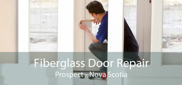 Fiberglass Door Repair Prospect - Nova Scotia