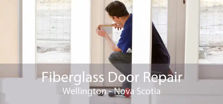 Fiberglass Door Repair Wellington - Nova Scotia
