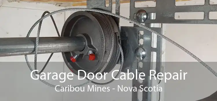 Garage Door Cable Repair Caribou Mines - Nova Scotia