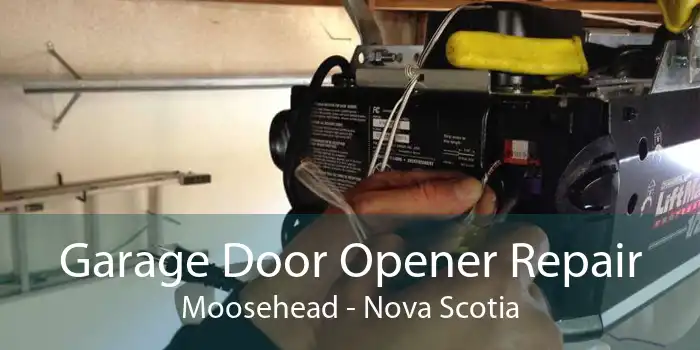 Garage Door Opener Repair Moosehead - Nova Scotia
