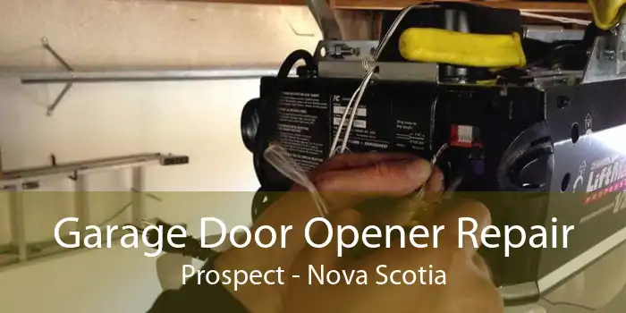 Garage Door Opener Repair Prospect - Nova Scotia