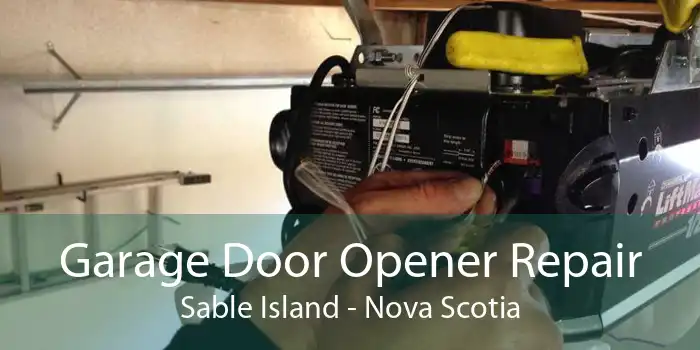Garage Door Opener Repair Sable Island - Nova Scotia