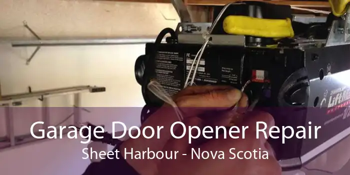 Garage Door Opener Repair Sheet Harbour - Nova Scotia