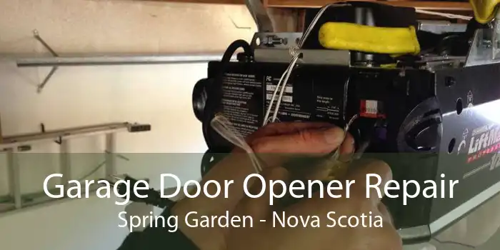 Garage Door Opener Repair Spring Garden - Nova Scotia