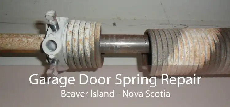 Garage Door Spring Repair Beaver Island - Nova Scotia