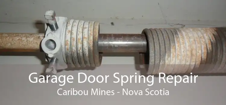 Garage Door Spring Repair Caribou Mines - Nova Scotia