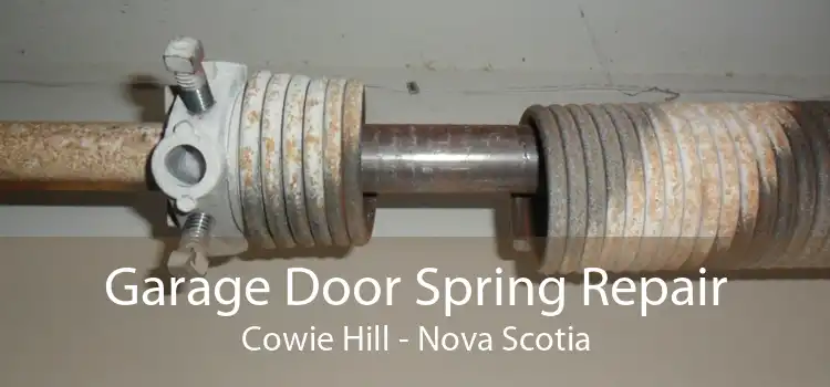 Garage Door Spring Repair Cowie Hill - Nova Scotia