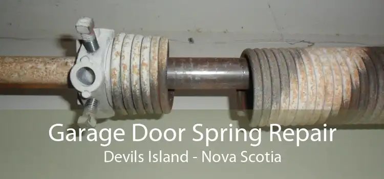 Garage Door Spring Repair Devils Island - Nova Scotia