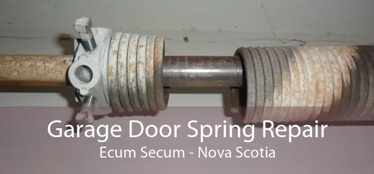 Garage Door Spring Repair Ecum Secum - Nova Scotia