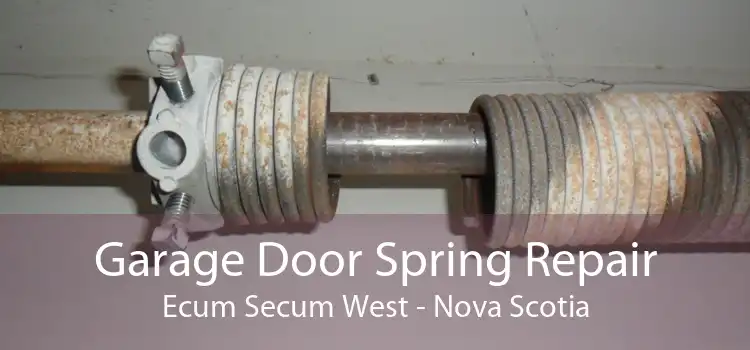 Garage Door Spring Repair Ecum Secum West - Nova Scotia