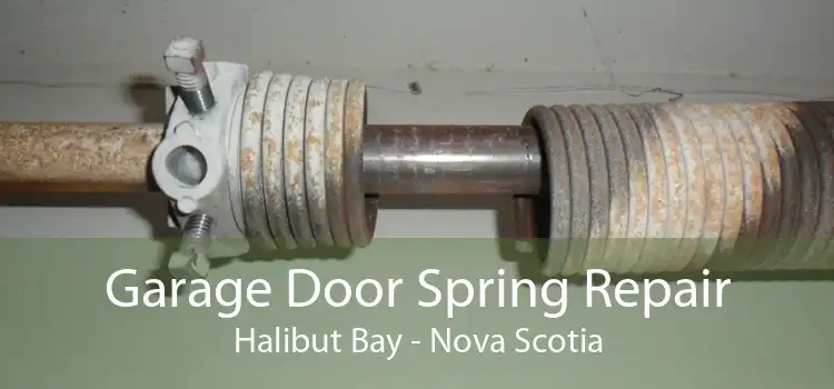 Garage Door Spring Repair Halibut Bay - Nova Scotia