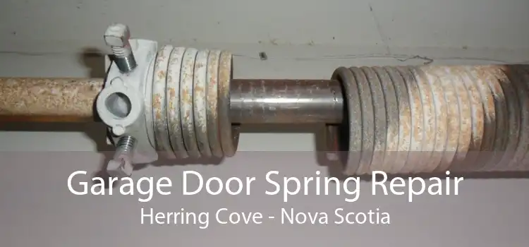 Garage Door Spring Repair Herring Cove - Nova Scotia