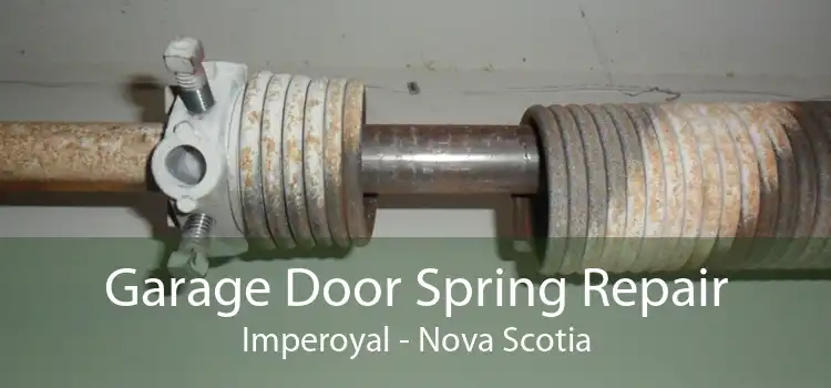 Garage Door Spring Repair Imperoyal - Nova Scotia