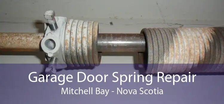 Garage Door Spring Repair Mitchell Bay - Nova Scotia