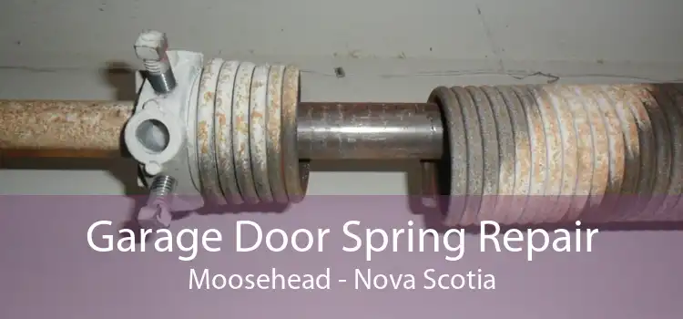 Garage Door Spring Repair Moosehead - Nova Scotia