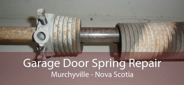 Garage Door Spring Repair Murchyville - Nova Scotia